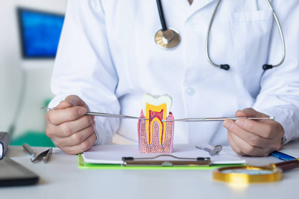 Best Emergency Dentist for Lost Fillings or Crowns in Seaford, NY